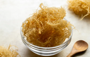 How Sea Moss Can Hep You Detox Quickly